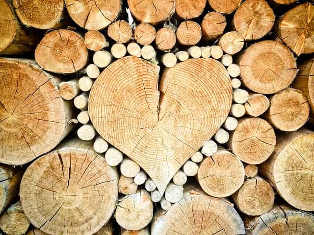 Top 10 best wood types.